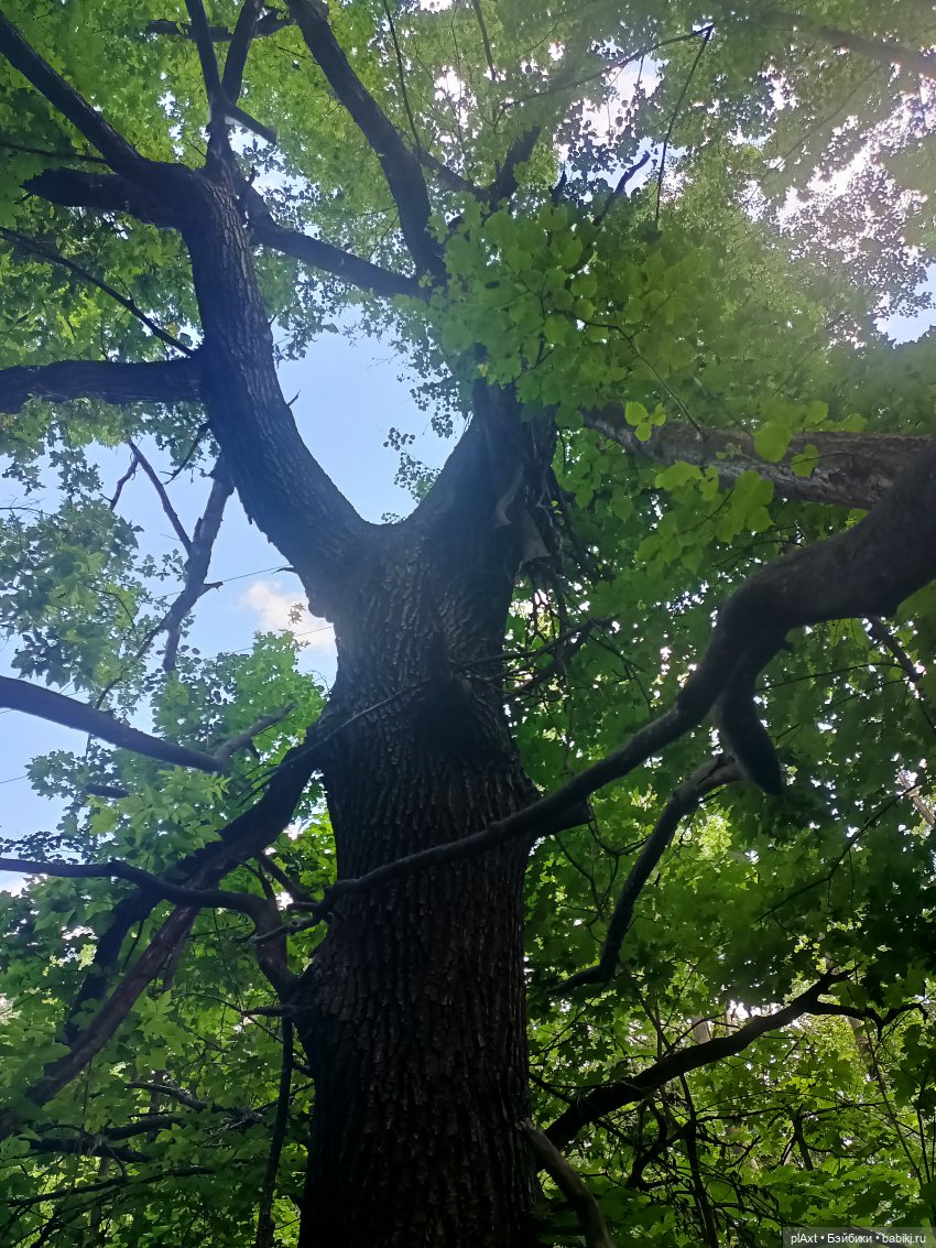 20 + 20 = 4. Совместный муз.проект