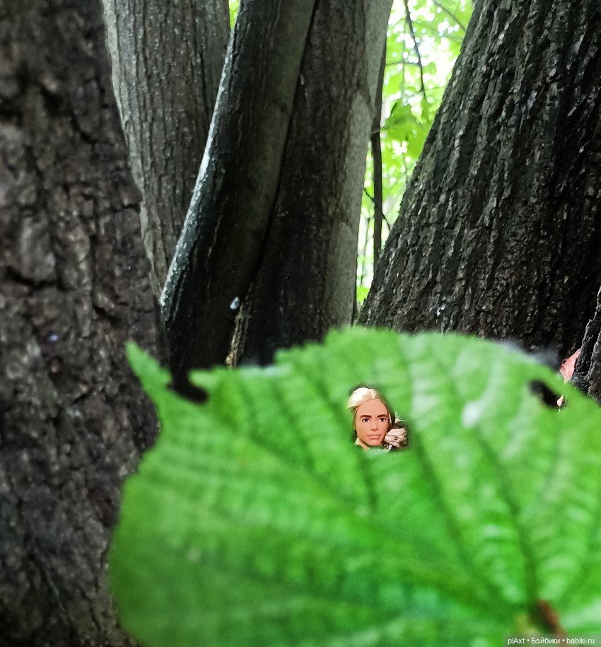 20 + 20 = 4. Совместный муз.проект