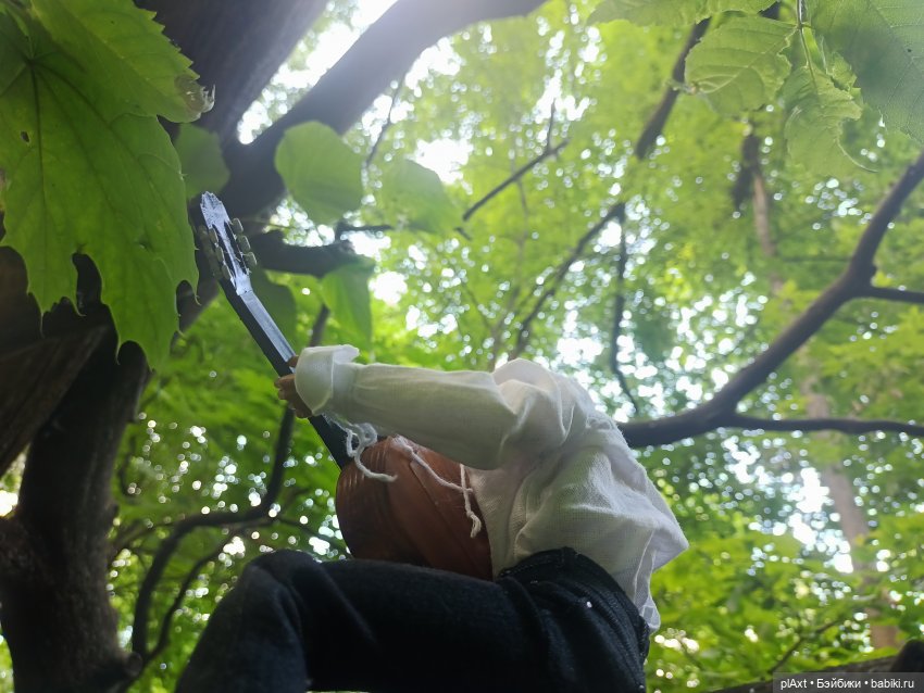 20 + 20 = 4. Совместный муз.проект