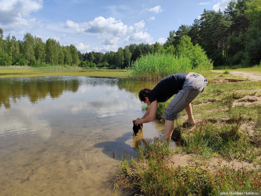 Купание Вранушки — Куклы Barbie (Барби): Looks