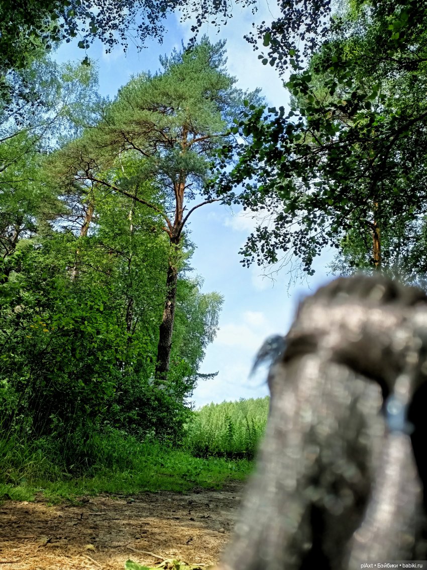 Купание Вранушки — Куклы Barbie (Барби): Looks