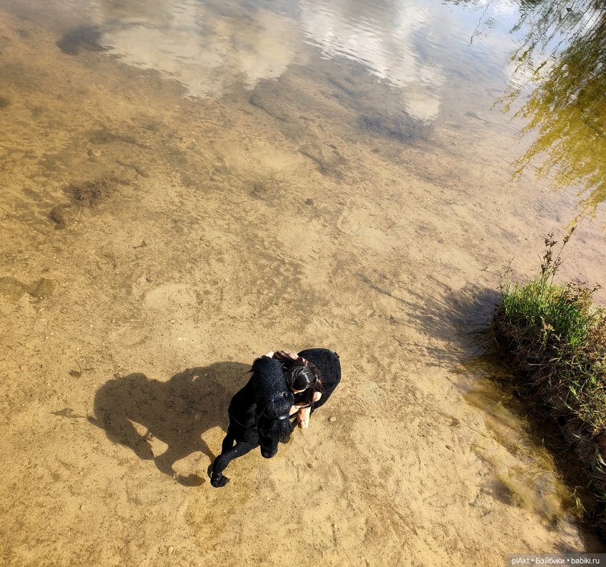 Купание Вранушки — Куклы Barbie (Барби): Looks