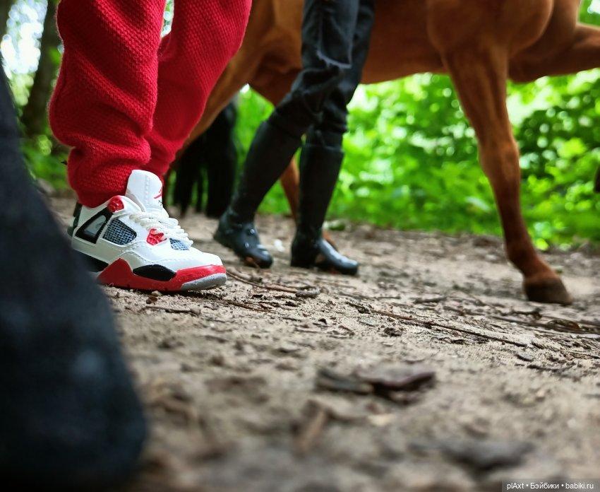 Фил и Ромка. Конная прогулка