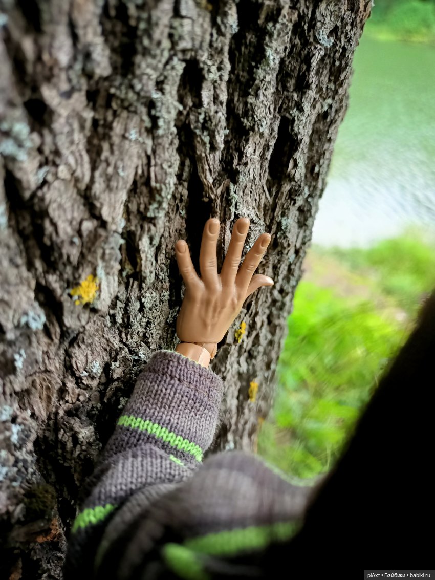 Фил и Ромка. Конная прогулка