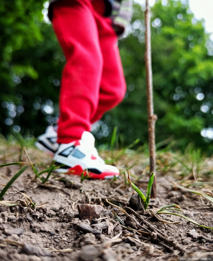 Фил и Ромка. Конная прогулка