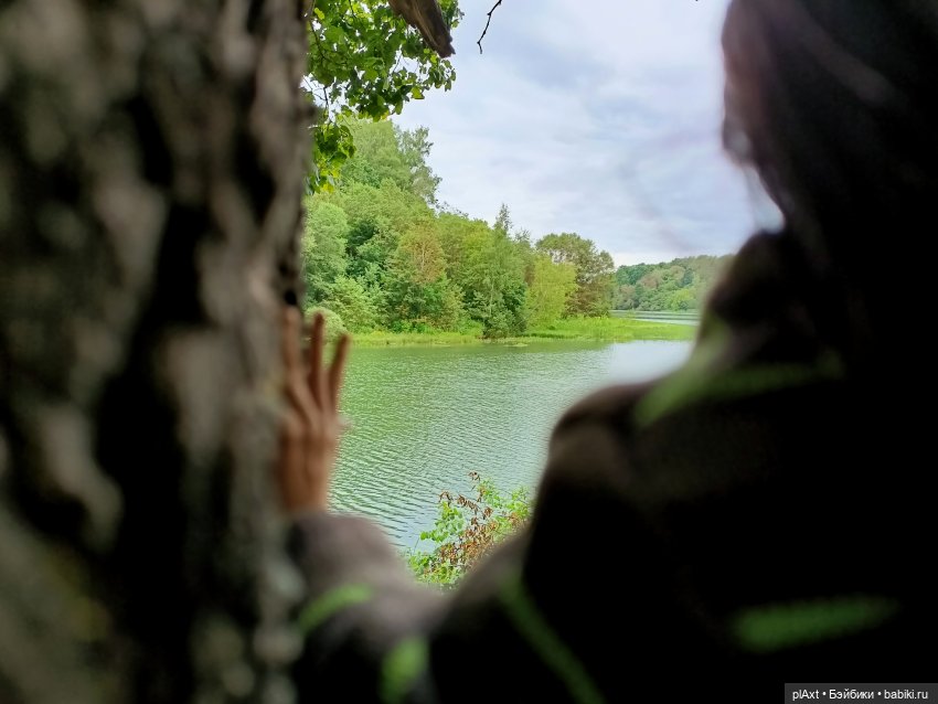 Фил и Ромка. Конная прогулка