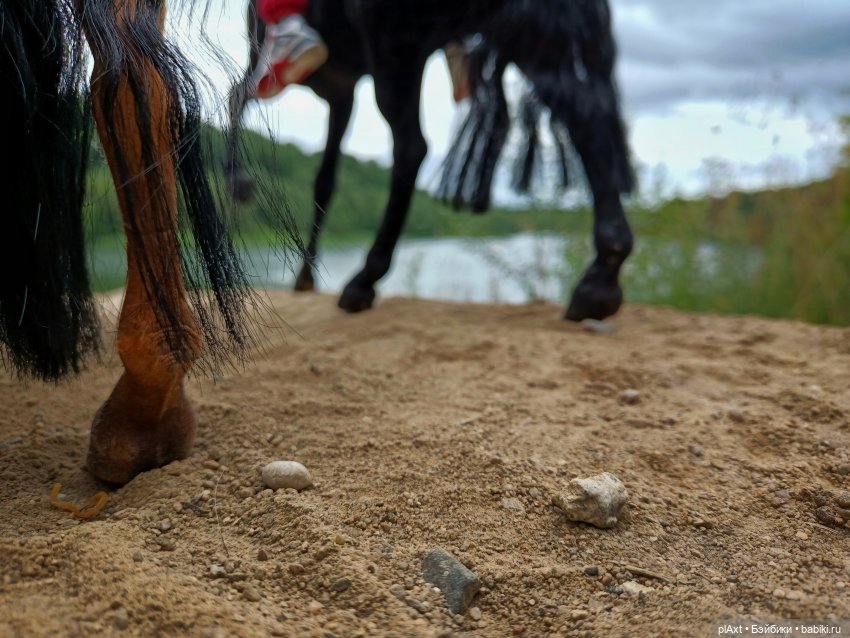 Фил и Ромка. Конная прогулка (фото 3)