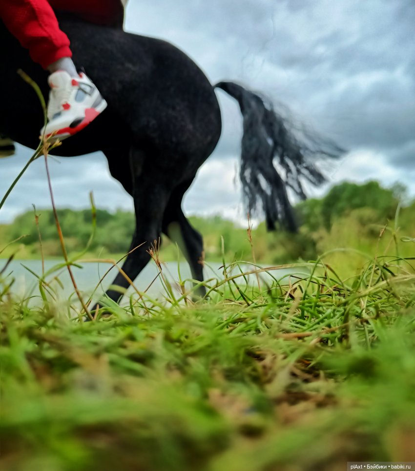 Фил и Ромка. Конная прогулка