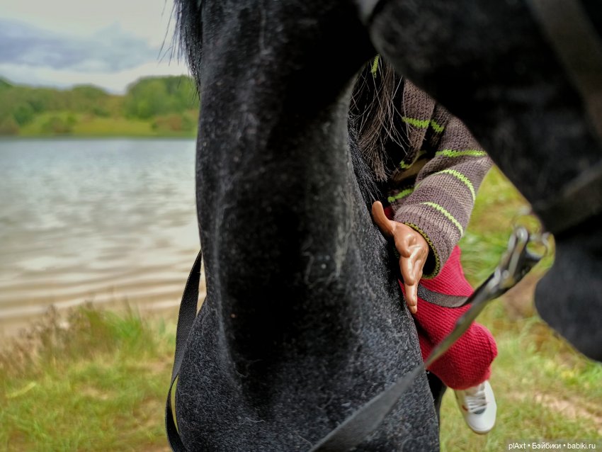 Фил и Ромка. Конная прогулка