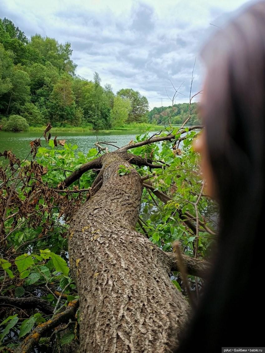 Фил и Ромка. Конная прогулка