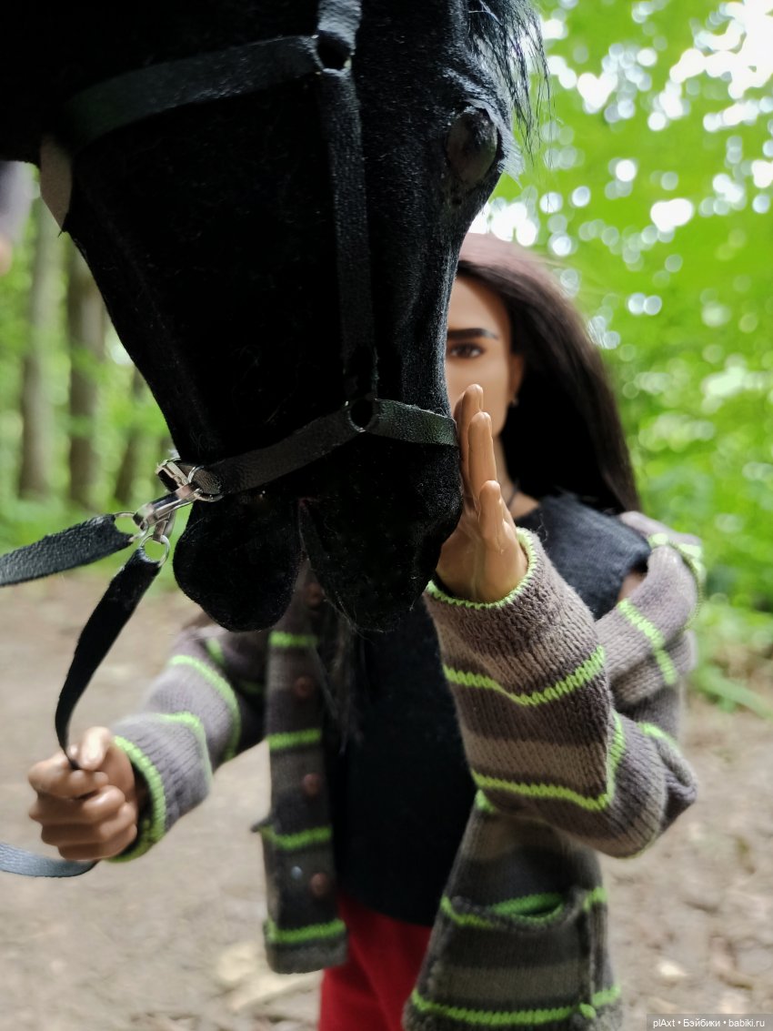 Фил и Ромка. Конная прогулка