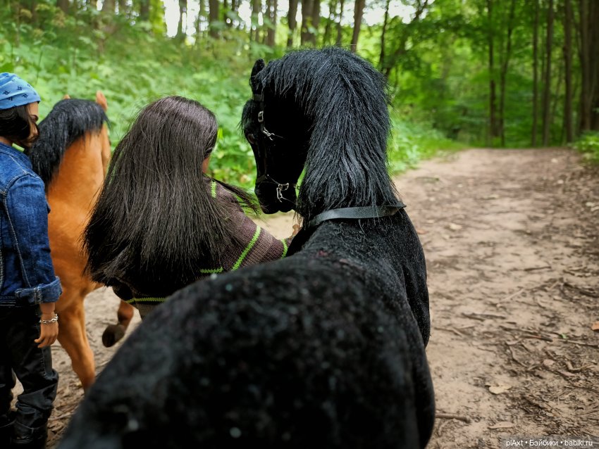 Фил и Ромка. Конная прогулка