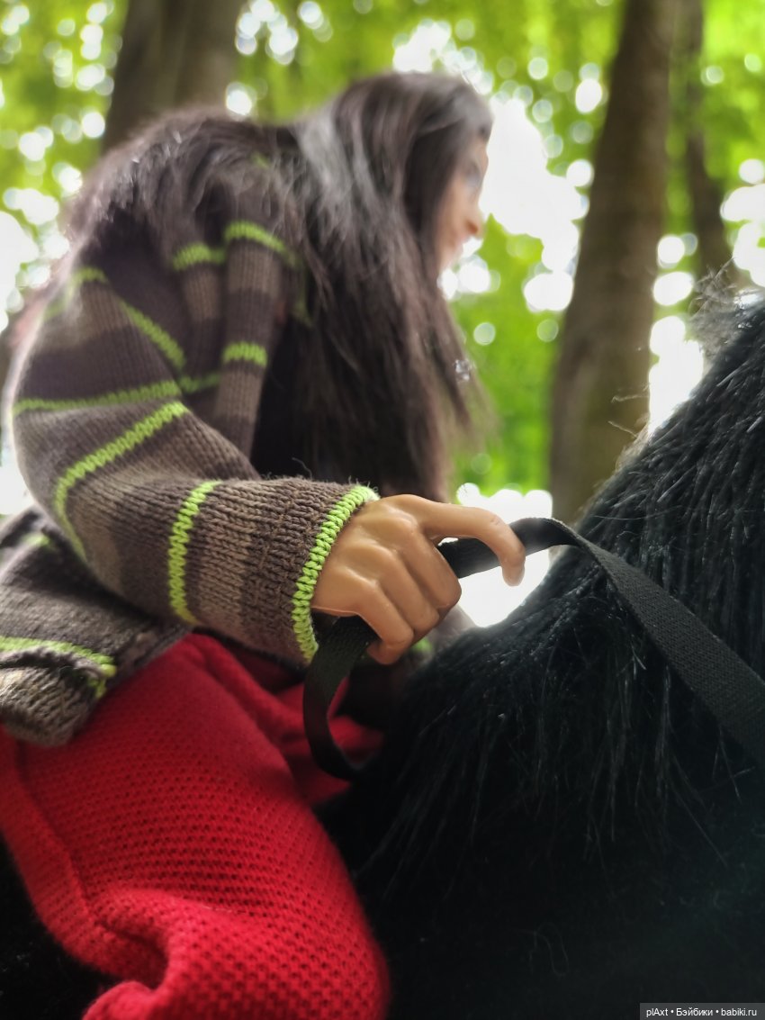 Фил и Ромка. Конная прогулка