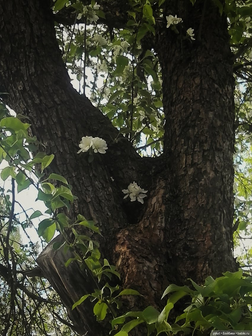 78. "Что же тебе хочется?.."