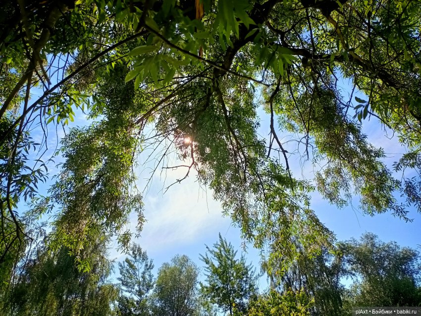 78. "Что же тебе хочется?.." (фото 5)