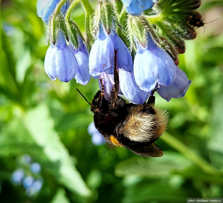 78. "Что же тебе хочется?.." (фото 2)