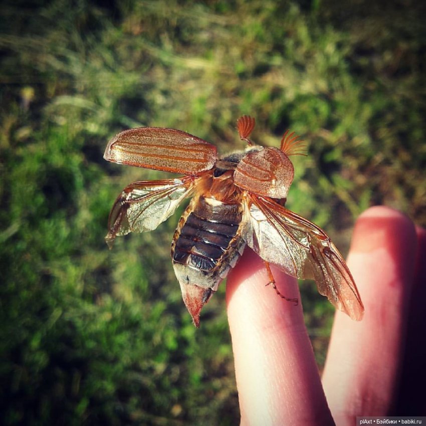 78. "Что же тебе хочется?.."