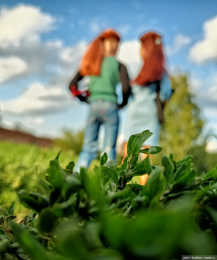 Мальчики вырастают, но — Куклы Barbie (Барби): Looks