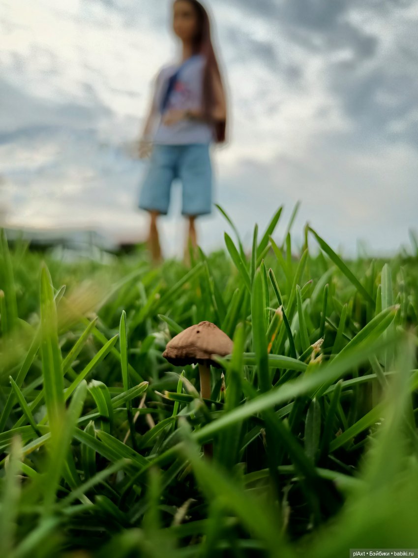 Ульяна. Уля. Улька — Куклы Barbie (Барби): Looks