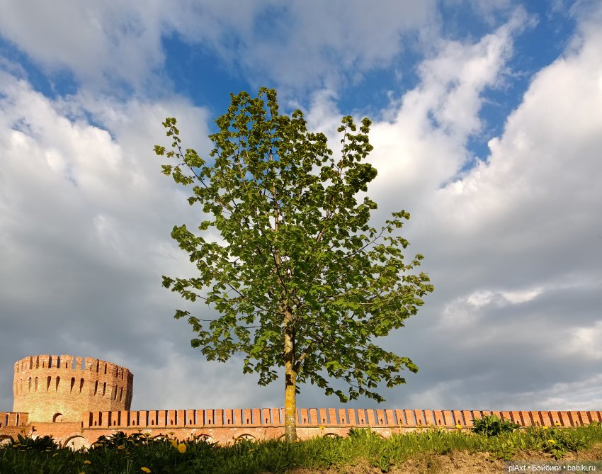 Музыка - Жизнь - Любовь — Куклы Barbie (Барби): Looks