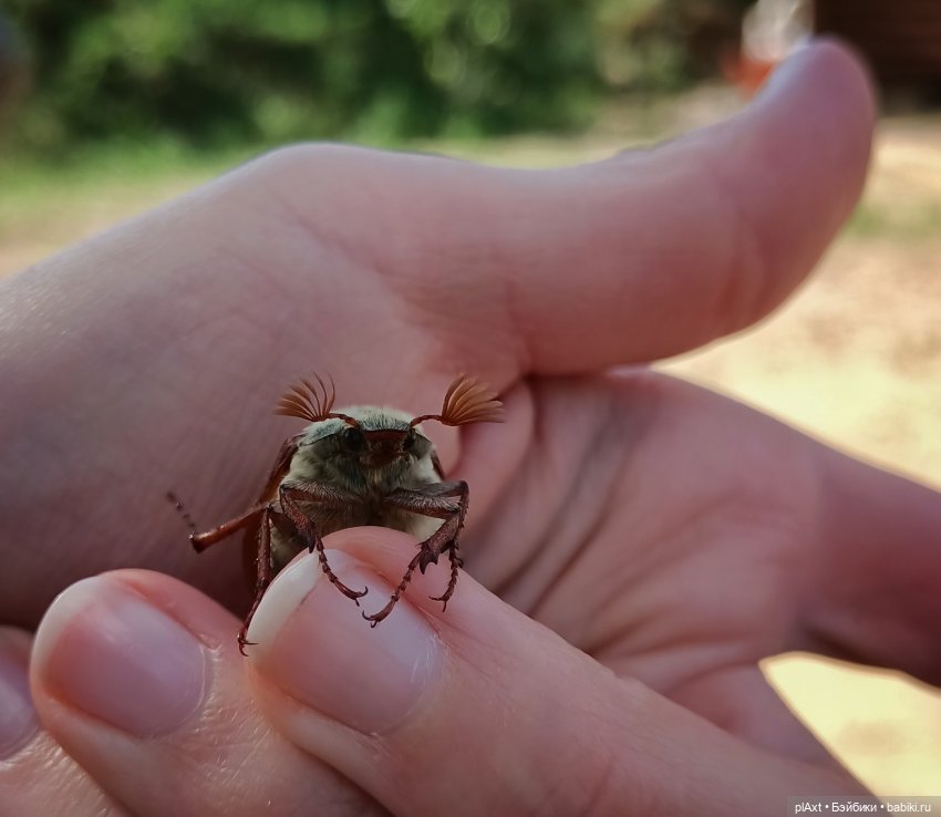Улька. "Мы к вам заехали на..."