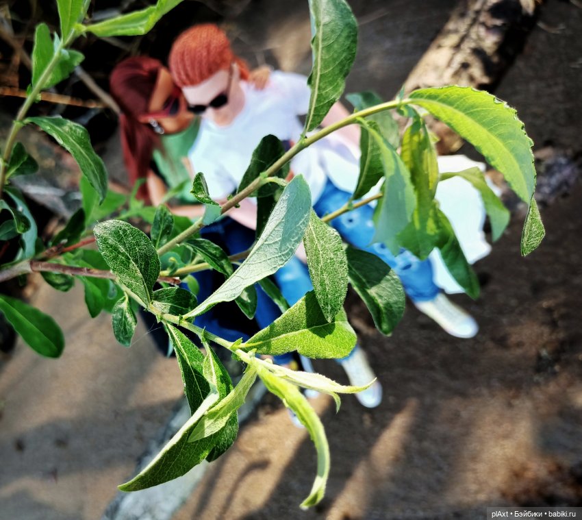 ЛиС. "Мы к вам заехали..."