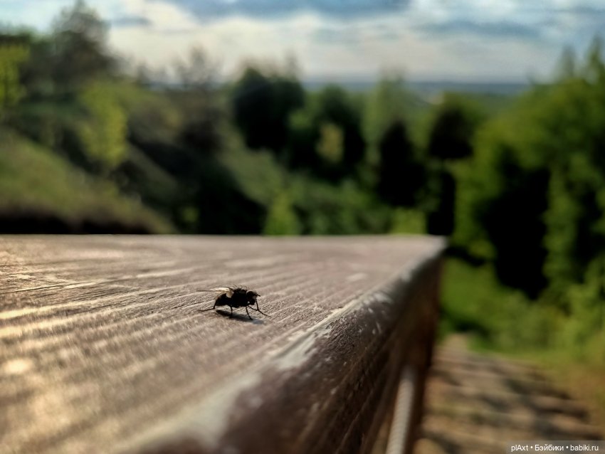 Улька. "Мы к вам заехали на..."