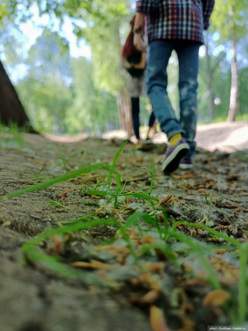 ЛиС. "Мы к вам заехали..."