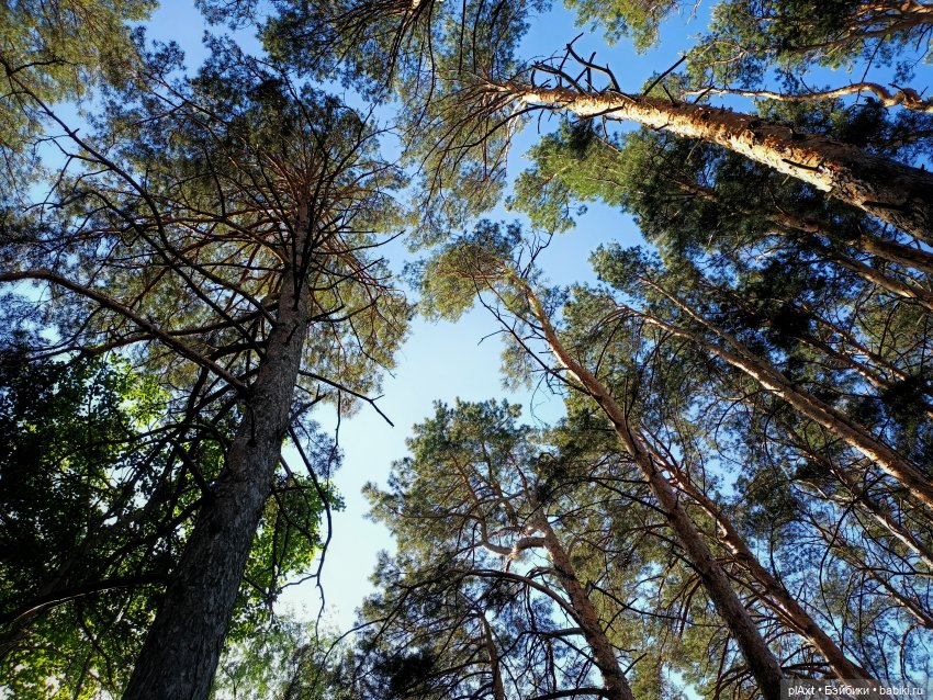 ЛиС. "Мы к вам заехали..."