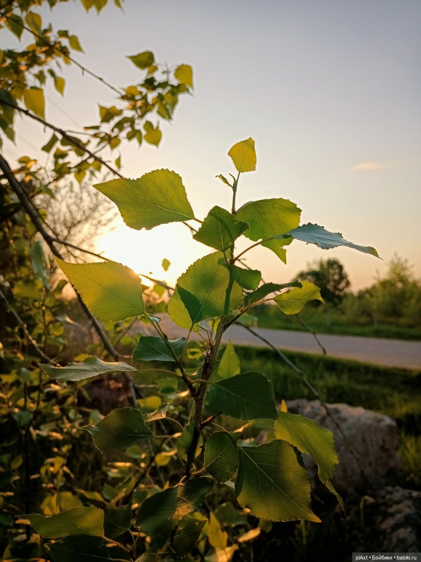 Улька и... "Мы к вам заехали на..."