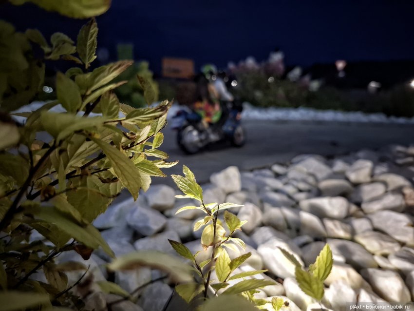 Вечерний заезд 🏍 — Куклы Barbie (Барби): Looks (фото 6)