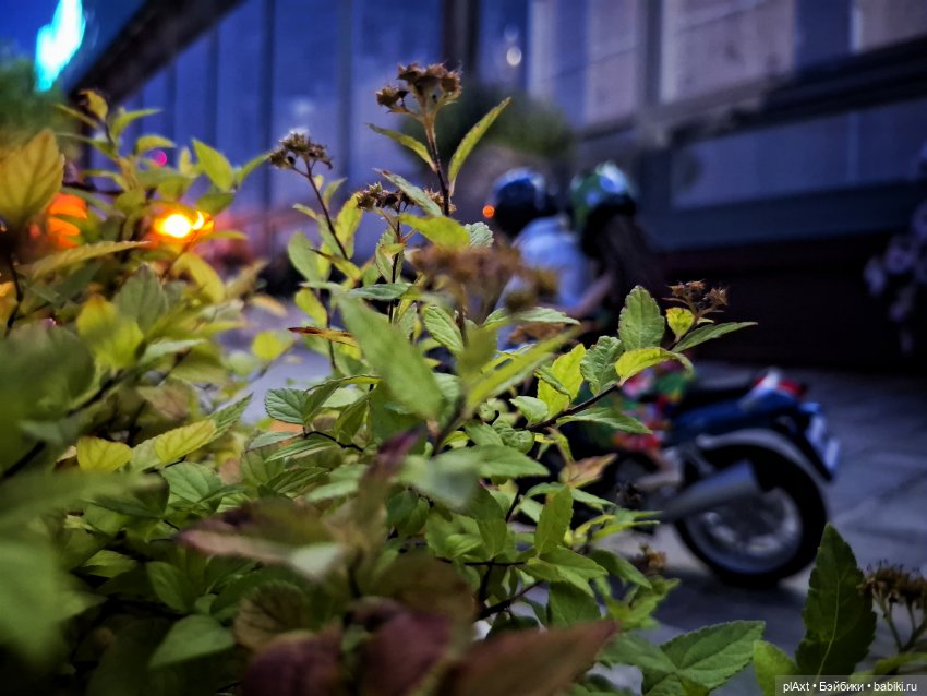 Вечерний заезд 🏍 — Куклы Barbie (Барби): Looks (фото 10)