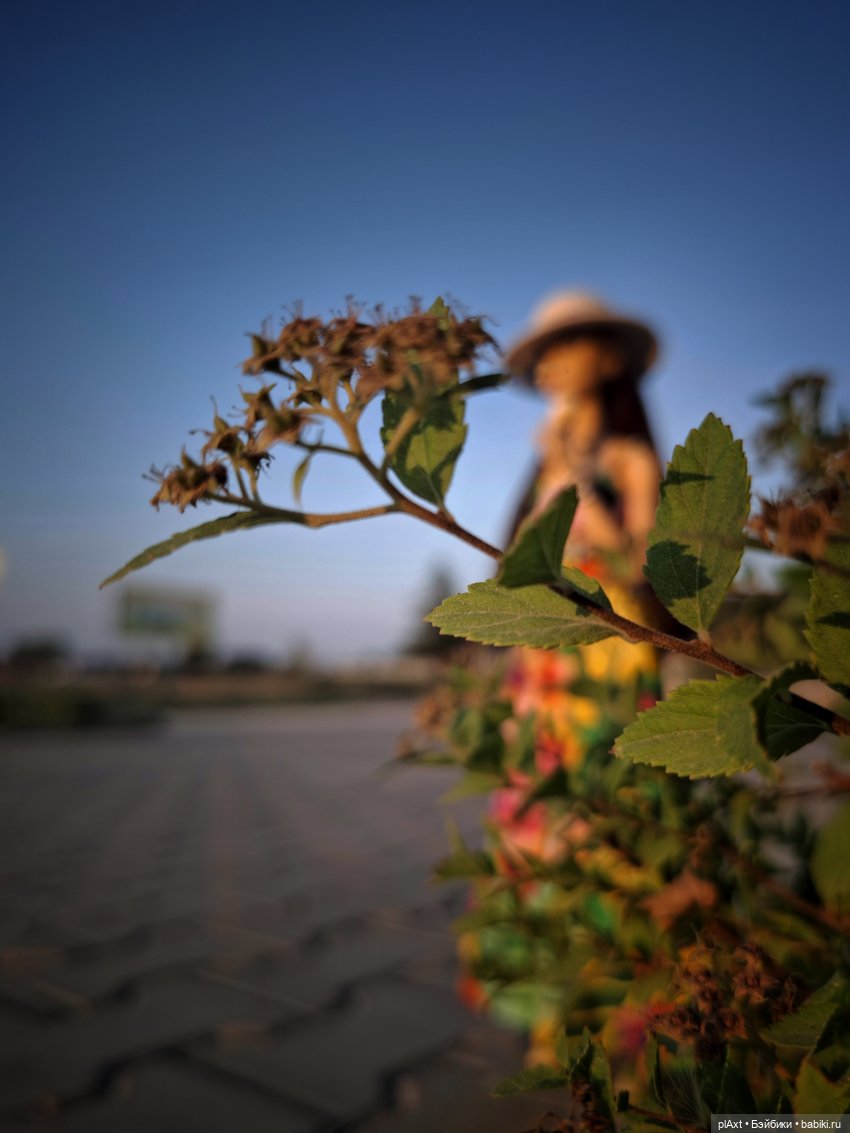 MadFox. Summer Wine (cover) 16+ (фото 3)