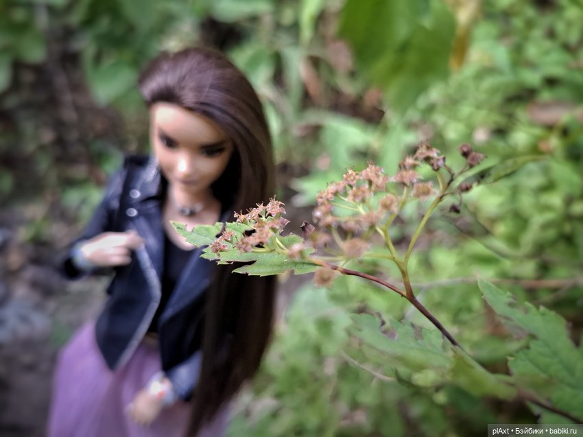 89. Понятая — Кукольные фотоистории и сериалы: комиксы (фото 2)