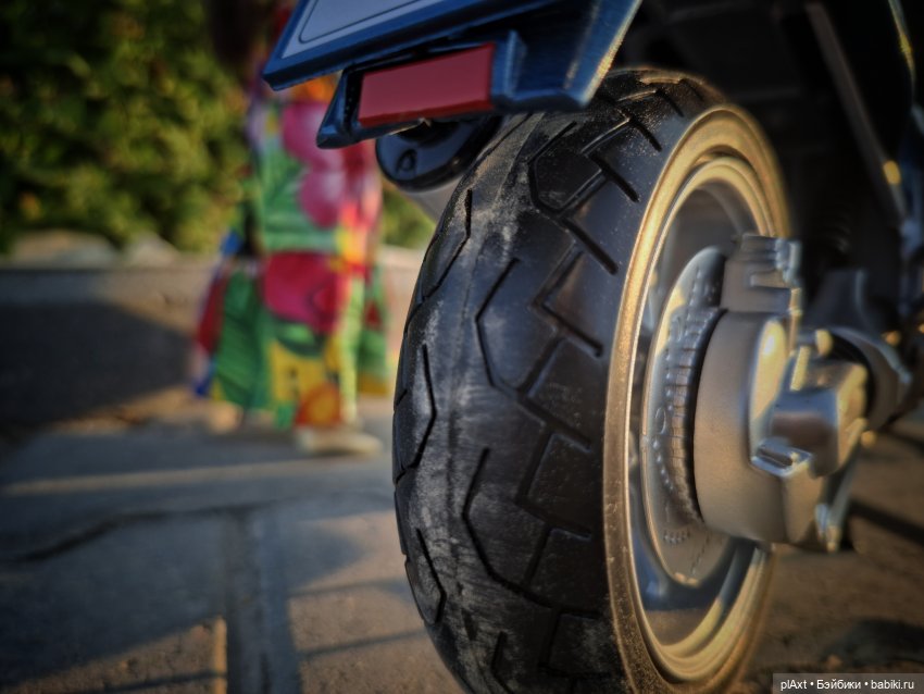 MadFox. Summer Wine (cover) 16+ (фото 8)