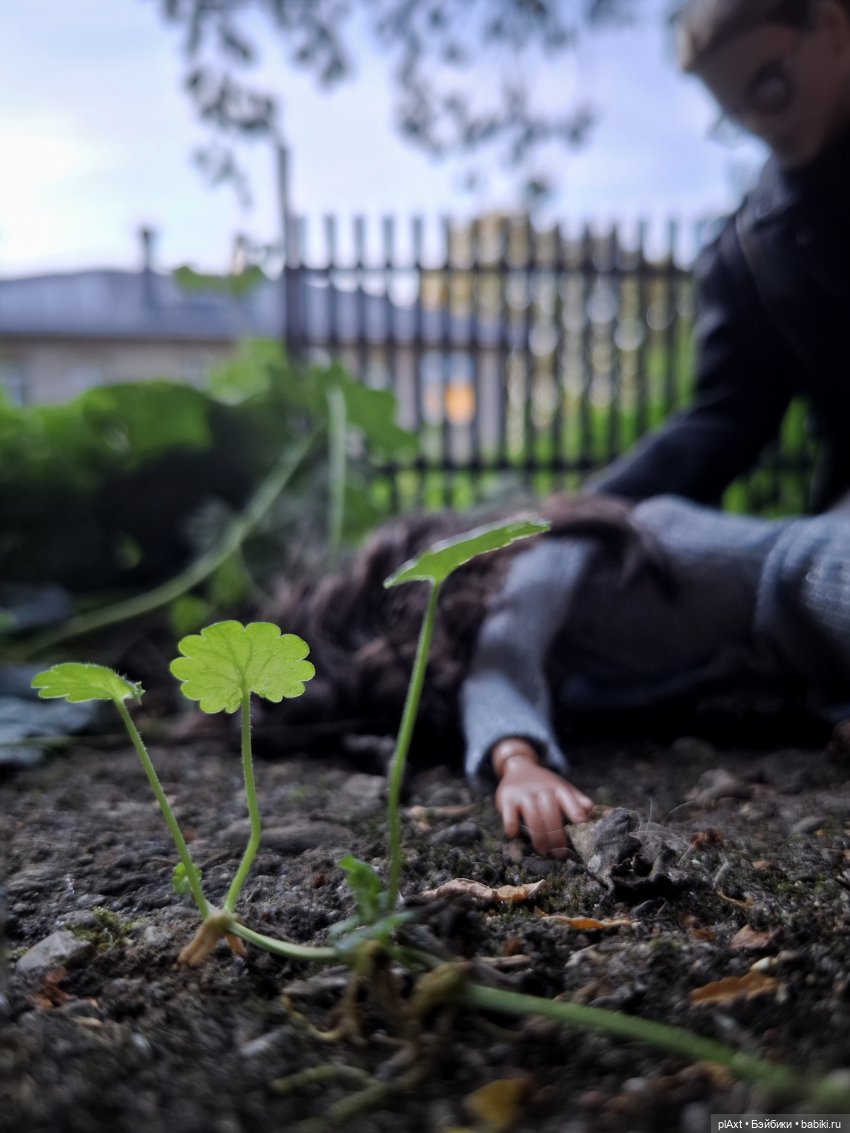 89. Понятая — Кукольные фотоистории и сериалы: комиксы