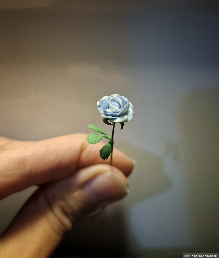 💙 не только розы — Куклы Barbie (Барби): Looks