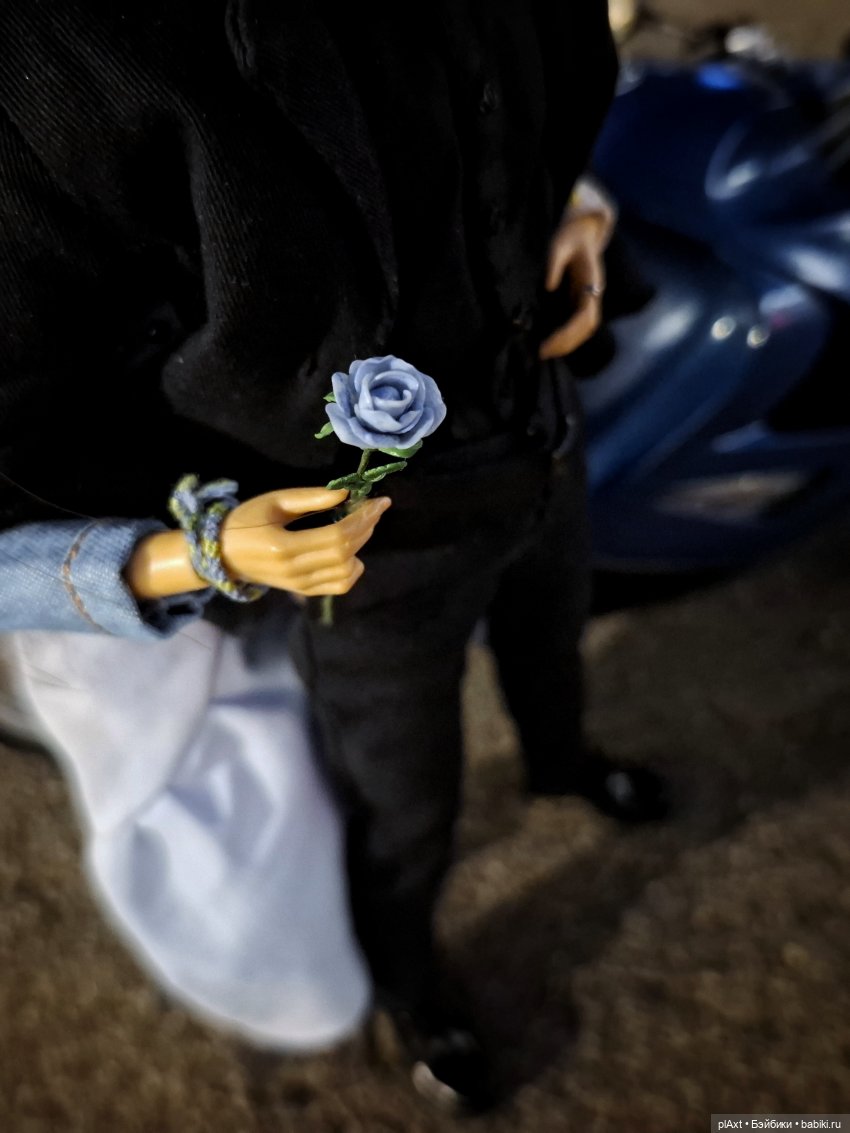 💙 не только розы — Куклы Barbie (Барби): Looks