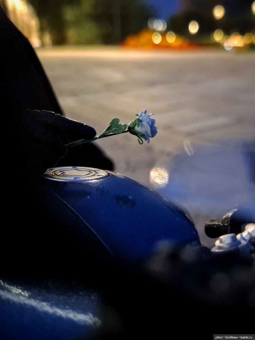 💙 не только розы — Куклы Barbie (Барби): Looks