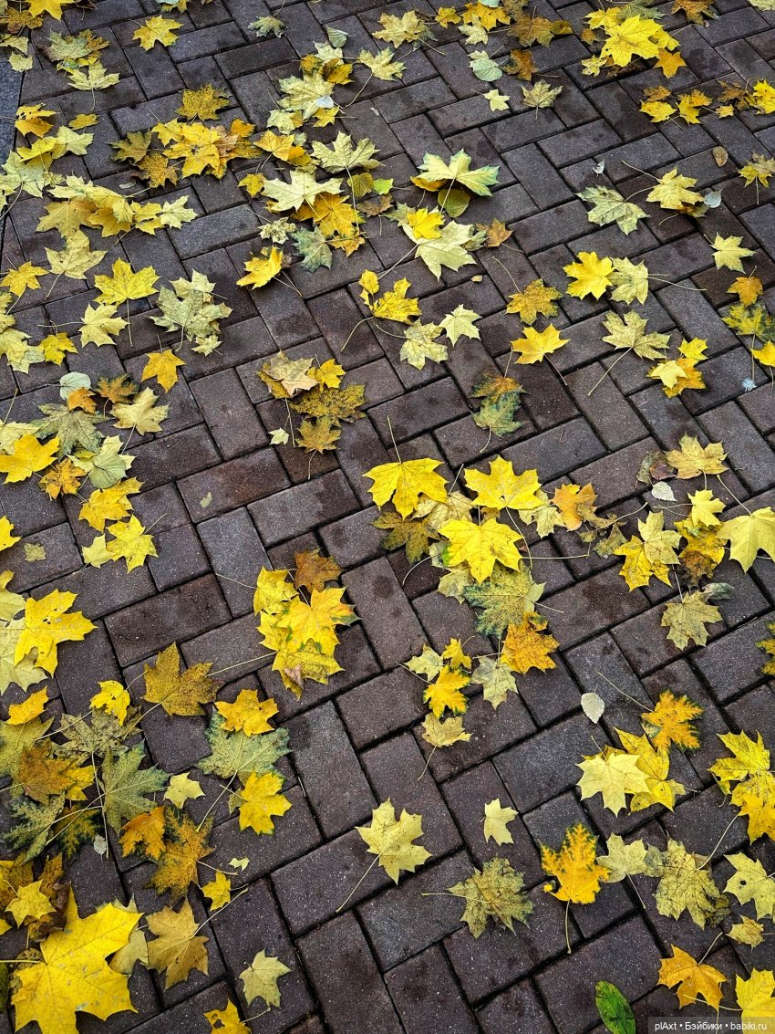 МУЗФЕСТ 2024. Не дай ему уйти. Совместный проект (фото 10)