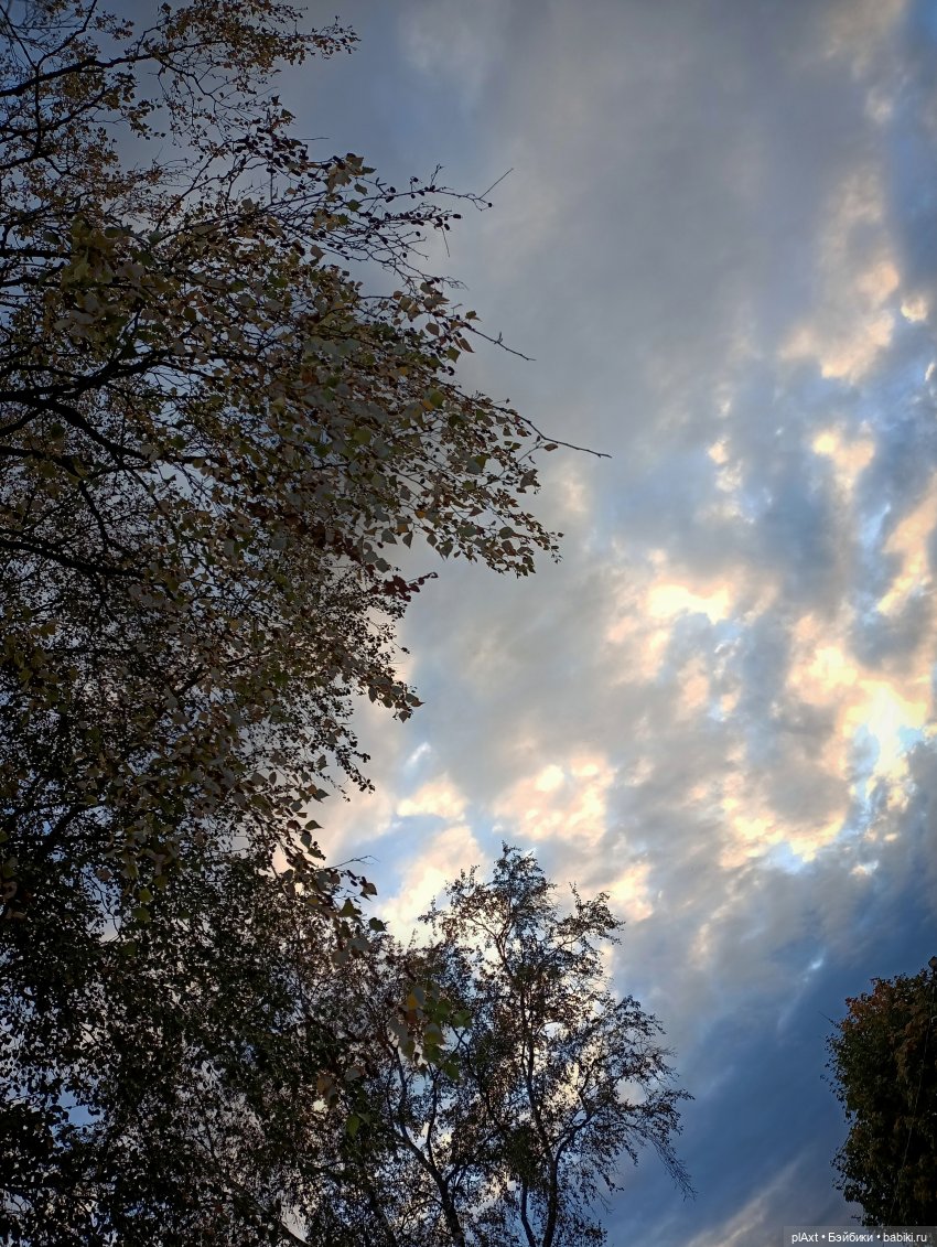 97. Прошлое Ангела — Кукольные фотоистории и сериалы: комиксы (фото 2)