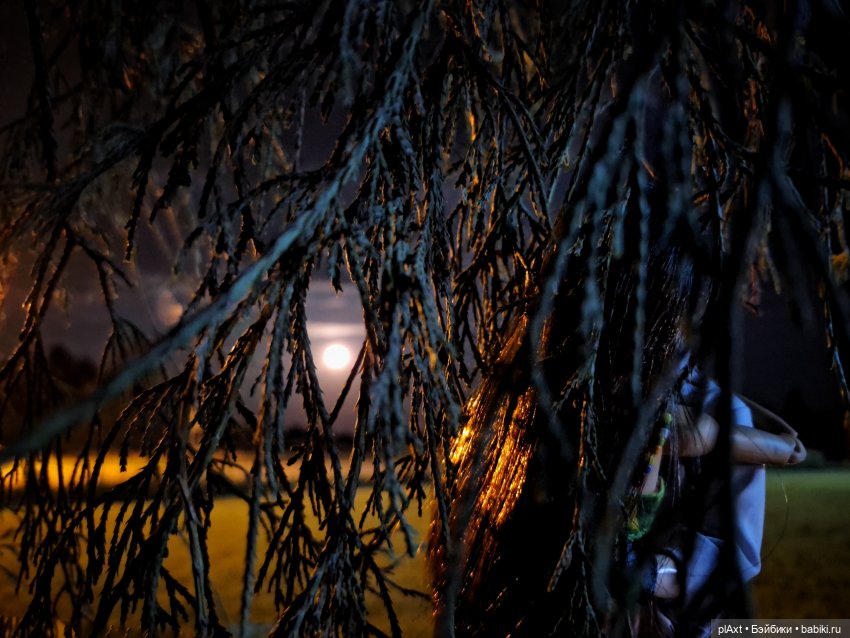 98. Настоящее для Ангела — Кукольные фотоистории и сериалы: комиксы