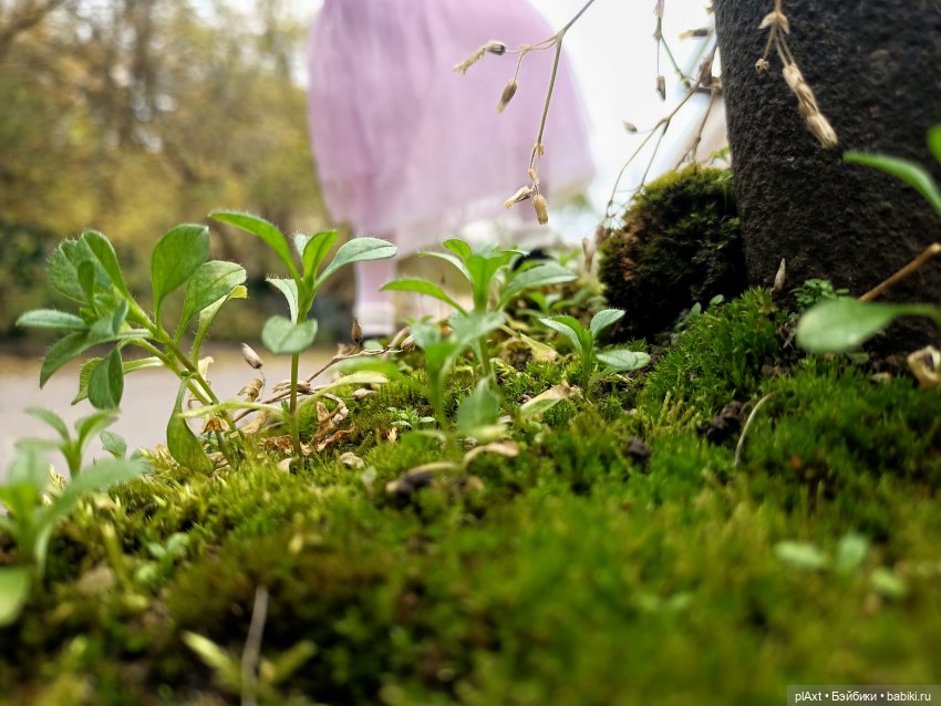 99. Потому что кто-то слишком много... Часть 3