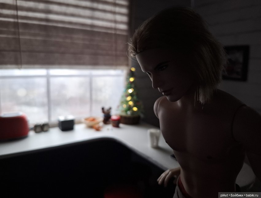 102. Подарок — Кукольные фотоистории и сериалы: комиксы (фото 7)