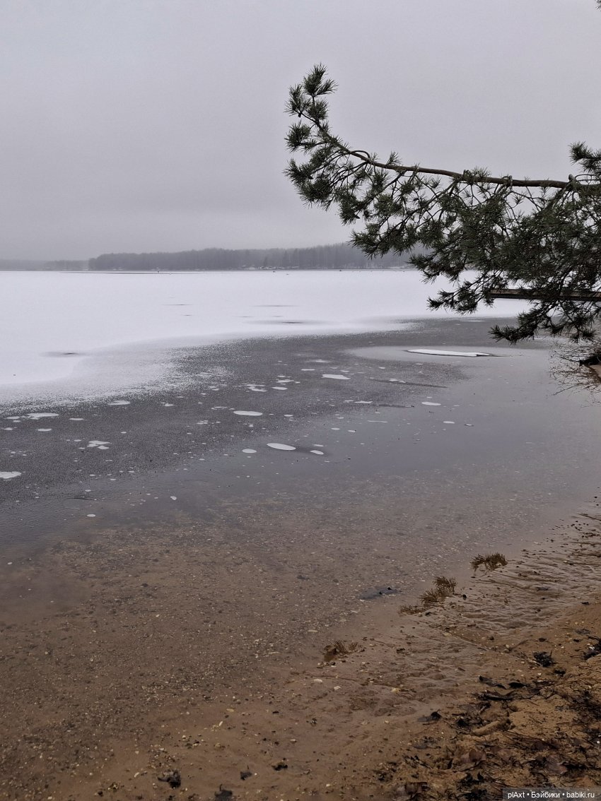 Новый год 🎄 для двоих ❤️ — Куклы Barbie (Барби): Looks