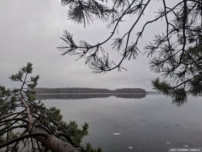 Новый год 🎄 для двоих ❤️ — Куклы Barbie (Барби): Looks