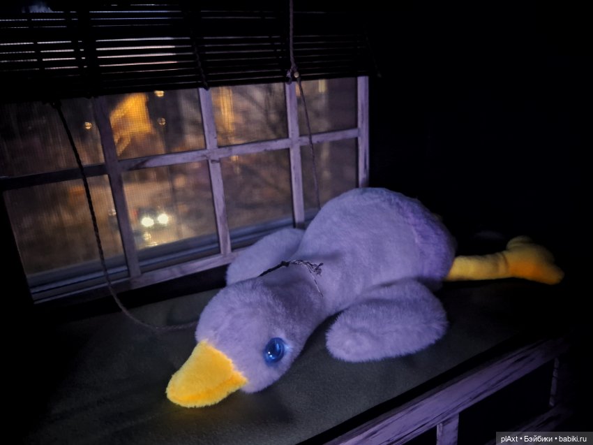 106. Больной на всю... подушку 🙃