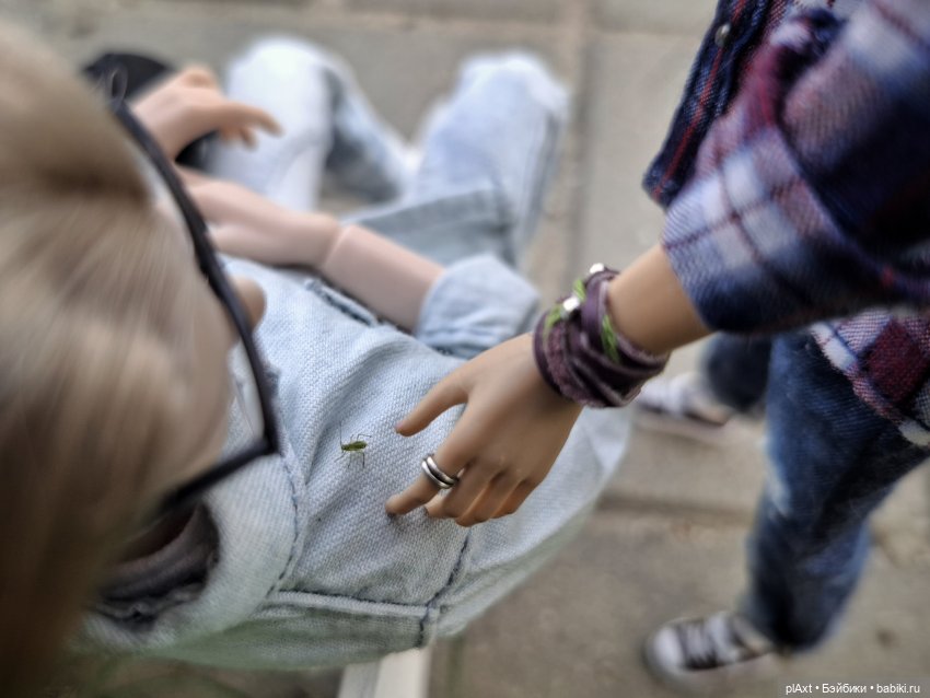 Миша и Ко — Куклы Barbie (Барби): Looks