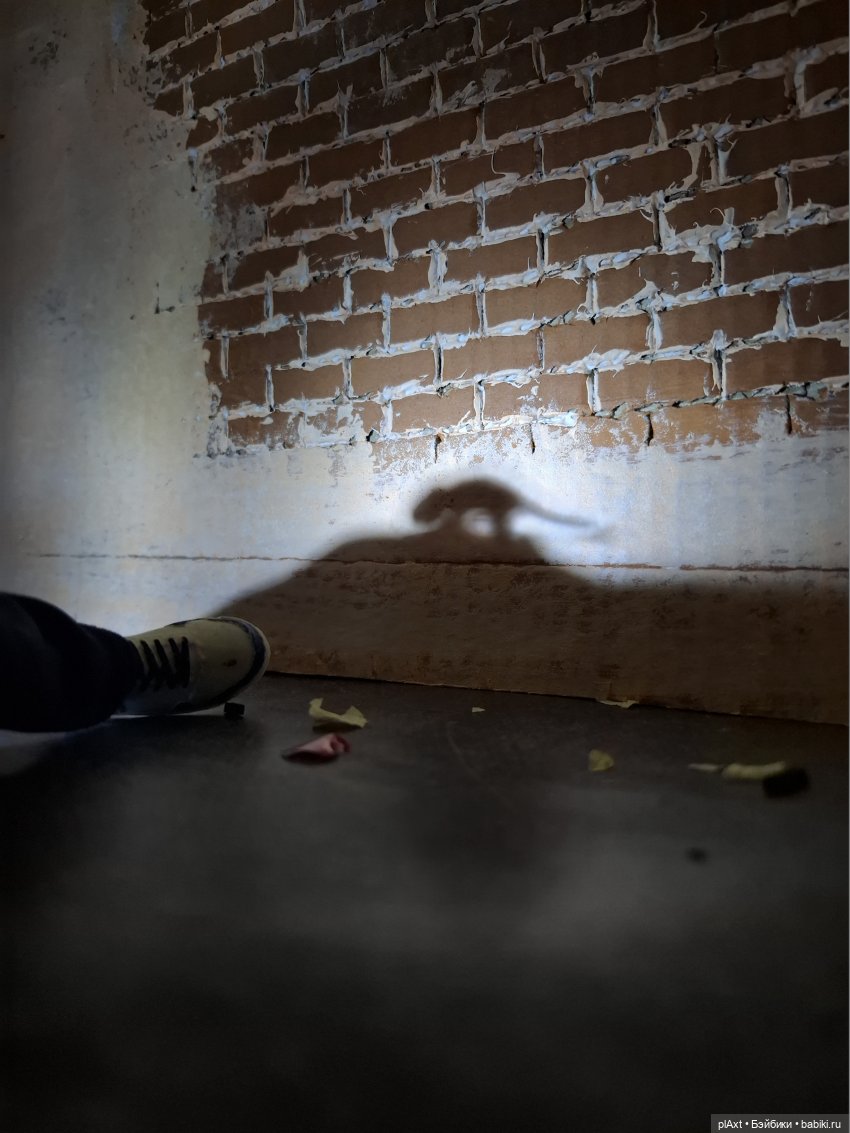 105. Ночь. Улица. Помойка. СОГ (16+)