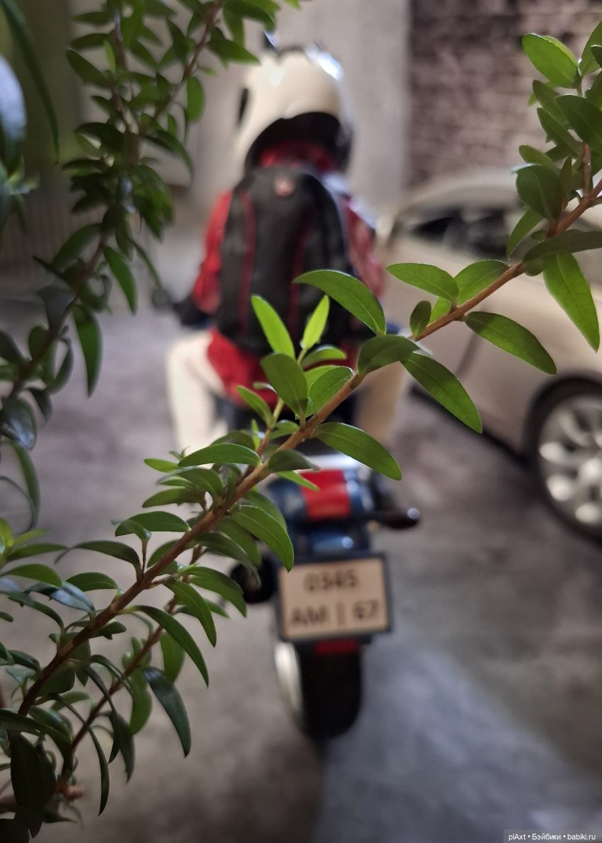 107. Родители У — Кукольные фотоистории и сериалы: комиксы